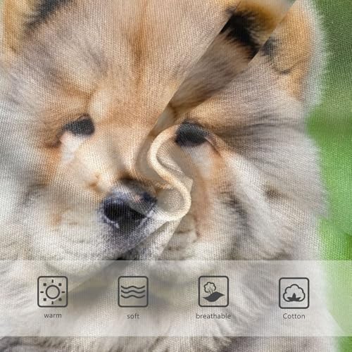 Chow Puppy Dog Grass Panties for Girl Toddler Girls Underwear Cotton Stylish Briefs Girls Undies 2t3