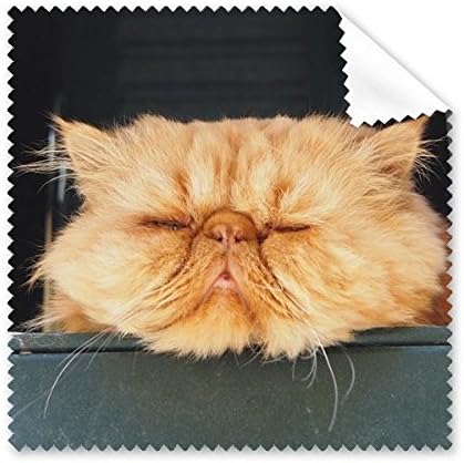 Animal Funny Yellow Cat Shoot Cleaning Cloth Phone Screen Glasses Cleaner 5pcs image 2