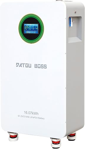 DATOUBOSS Batteria LiFePO4 48V 314Ah,integrata 200A BMS 8…
