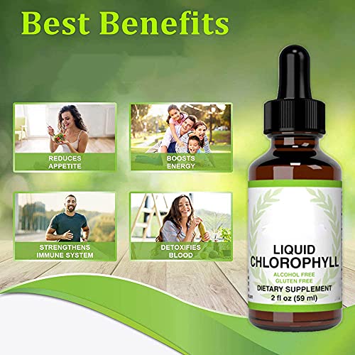 Liquid Chlorophyll Drops -Boost Energy, All-Natural Concentrate?Strengthen Immune System, Detox and Cleanse The Body… - Image 3
