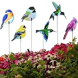 NWAMTFSYXW 24PCS Bird Garden Stakes Decoration, 2D Flat Vibrant Bird Yard Decoration, Durable Weather Resistant Spring Garden Decorations for Crafts Outdoor Wall Patio Plant Yard Decor