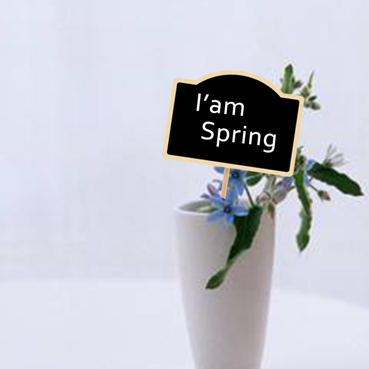UKCOCO Chalkboard Creative for Arched Signs 20pcs Wooden Mini Garden Decorating, Blackboards for Labeling and Signage, Lightweight Tags and Crafts Flower and Plant