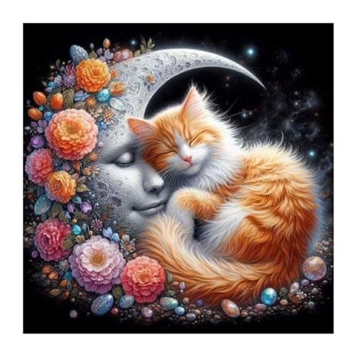 HvasJing Link Cozy Cat & Floral Moon 5D Full Drill