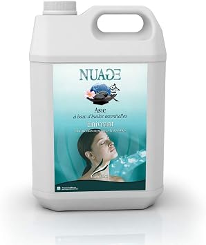 Camylle - Fragrance for Diffuser Asie - Essential Oil Emulsion for Ultrasonic Diffuser - Exhilarating with acidulous and Mystic Aromas - 5000ml