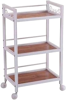YGCBL Carro de mano portátil multifunción, carrito de acero con ranura de barandilla, rueda universal, para salón de belleza, carga de 40 kg, 2 colores, color blanco