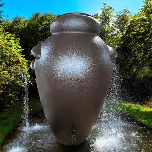 Photo complémentaire