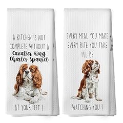 Cavalier King Charles Spaniel