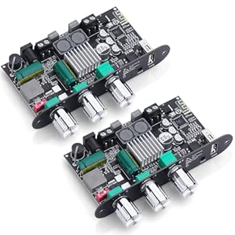 HiFi Verstärker mit Bluetooth 5.3 ZK-1001U Mono Audioverstärkers für
