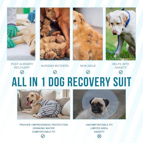 Image of Arblina Dog Recovery Suit, Adjustable Rear Leg Sleeve to Stop Licking Wounds for Male Female Dogs, Surgical Clothing for Neuter Spay Protective as Cone Alternative After Surgrey