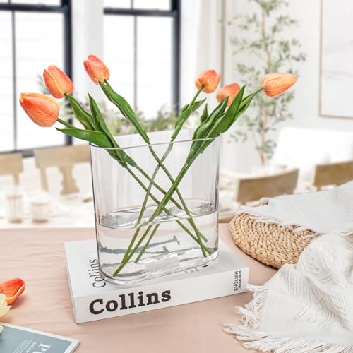 Oairse Clear Glass Vase 18CM Modern Oblong Centerpiece for Flowers - Decorative for Living Room, Dining Table, Wedding, Home and Party - Cosy Home Interiors Oairse Clear Glass Vase 18CM Modern Oblong Centerpiece for Flowers - Decorative for Living Room, Dining Table, Wedding, Home and Party - Image 5