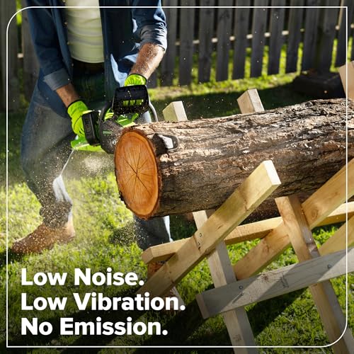 Greenworks 48V 16" Electric Chainsaw w/ 2x 4.0Ah Batteries & Charger (CS4816C) - image 5