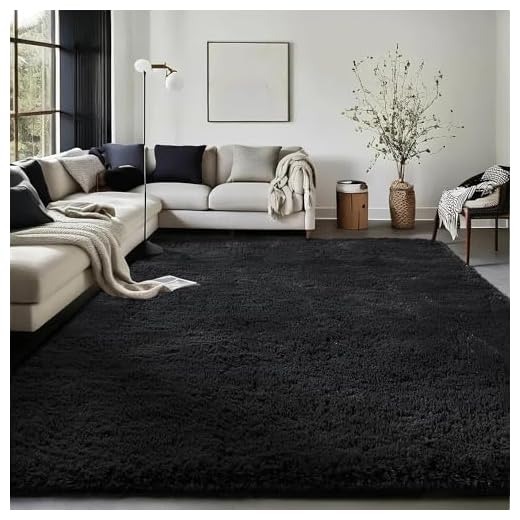 Ophanie Black Area Rugs for Bedroom Living Room