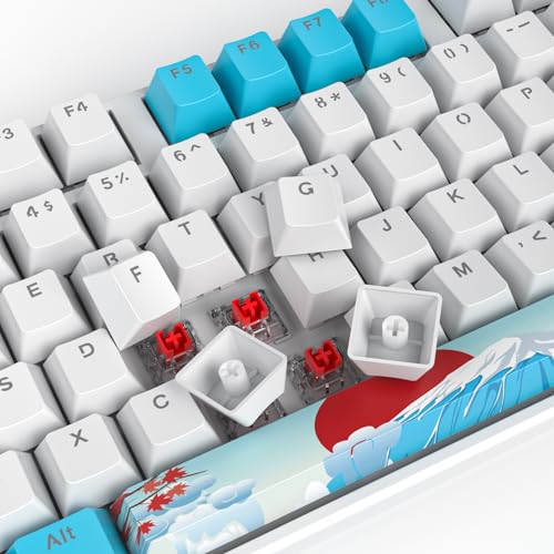 Image of PBT Double Shot 104 Keys Keycaps, OEM Profile Custom Keycaps Set for 61 /87 /104 MX Switches Mechanical Keyboard(Sea)