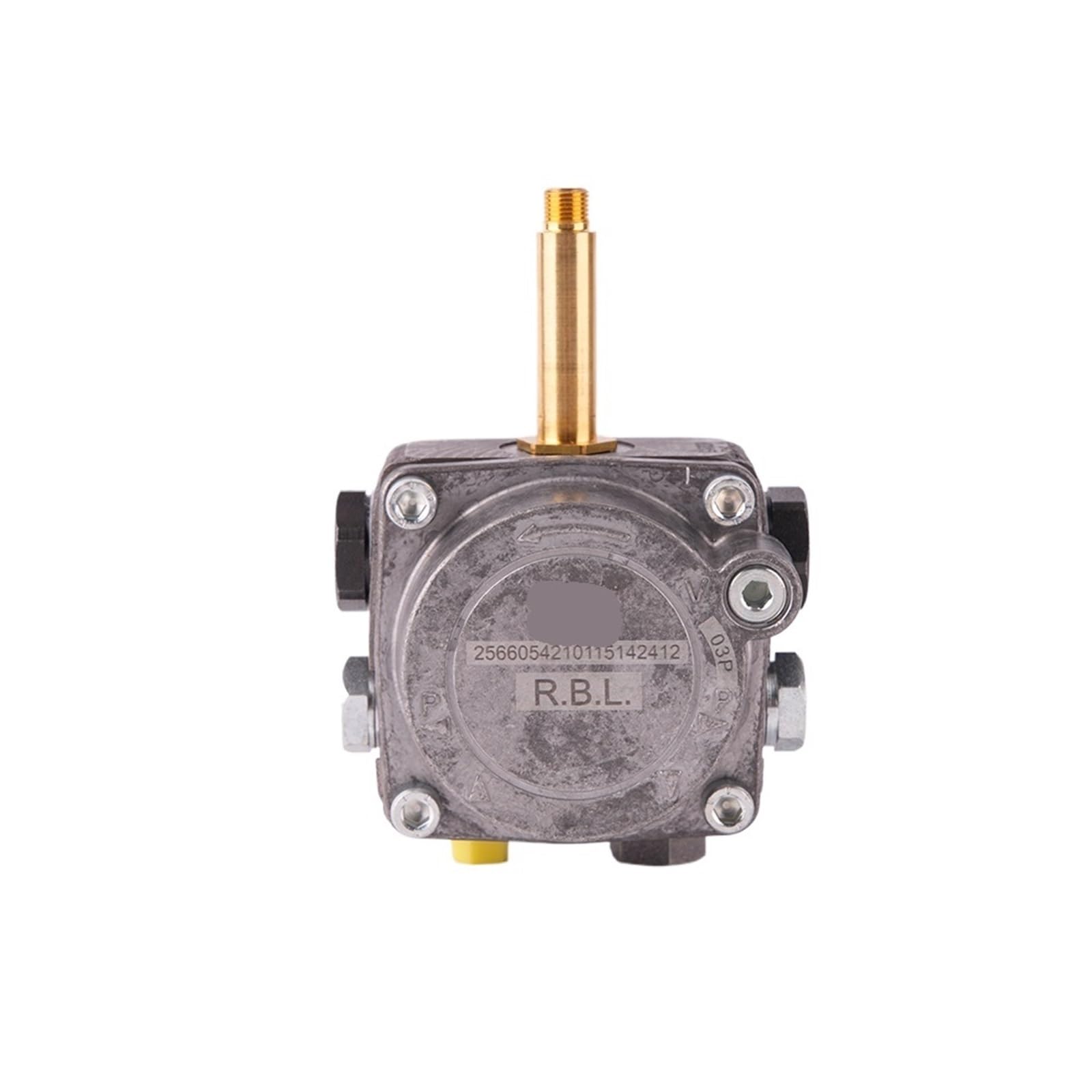 Pompe à fioul brûleur Diesel 40G pour maintenance de chaudières industrielles G3 G5 G10 G20 RBL 3007800