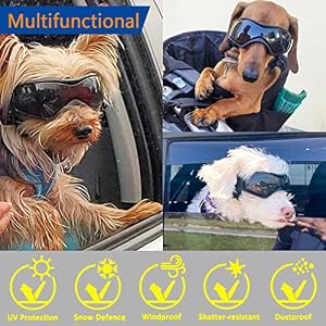 Dog Goggles for Small Dogs, Dog Sunglasses Small Breed, Dog Glasses UV Protection Wind Protection Dust Protection with Adjustable Strap for Small Breed (Small Black) Dog Goggles for Small Dogs, Dog Sunglasses Small Breed, Dog Glasses UV Protection Wind Protection Dust Protection with Adjustable Strap for Small Breed (Small Black)