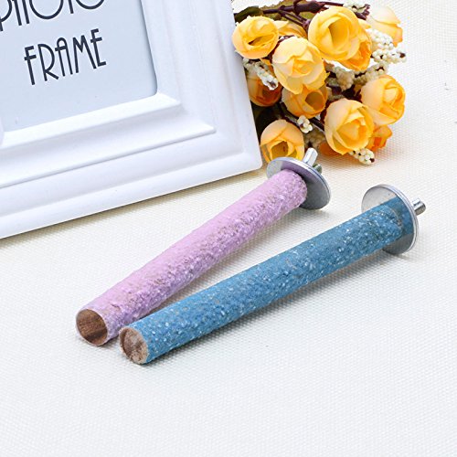 Bird Perch Parrot Standing Sticks for Paw Grinding Natural Wood Stand Cage for Small to Birds