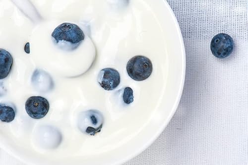 Birch & Meadow Yogurt Powder, Made from Non-fat Dry Milk, Nutritious - Image 3