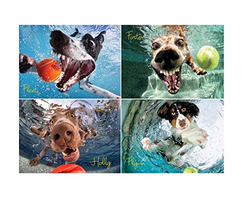 Willow Creek Press - 1000 Piece Puzzle for Adults - Underwater Dogs Jigsaw Puzzles Photo s Play Ball