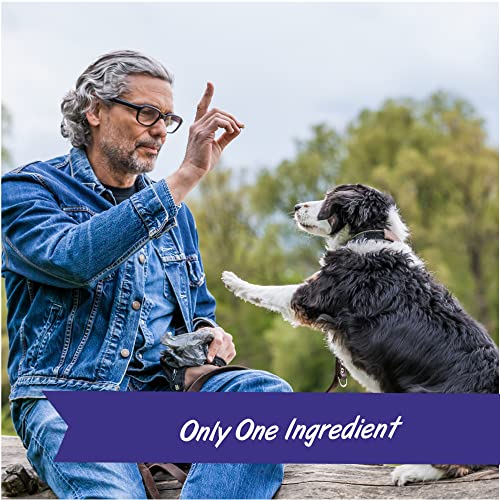 Pet Botanics 16 Oz. Pouch Training Reward Freeze Dried, Beef Liver Flavor, With 825 Treats Per Bag, The Choice Of Top Trainers #TOP6