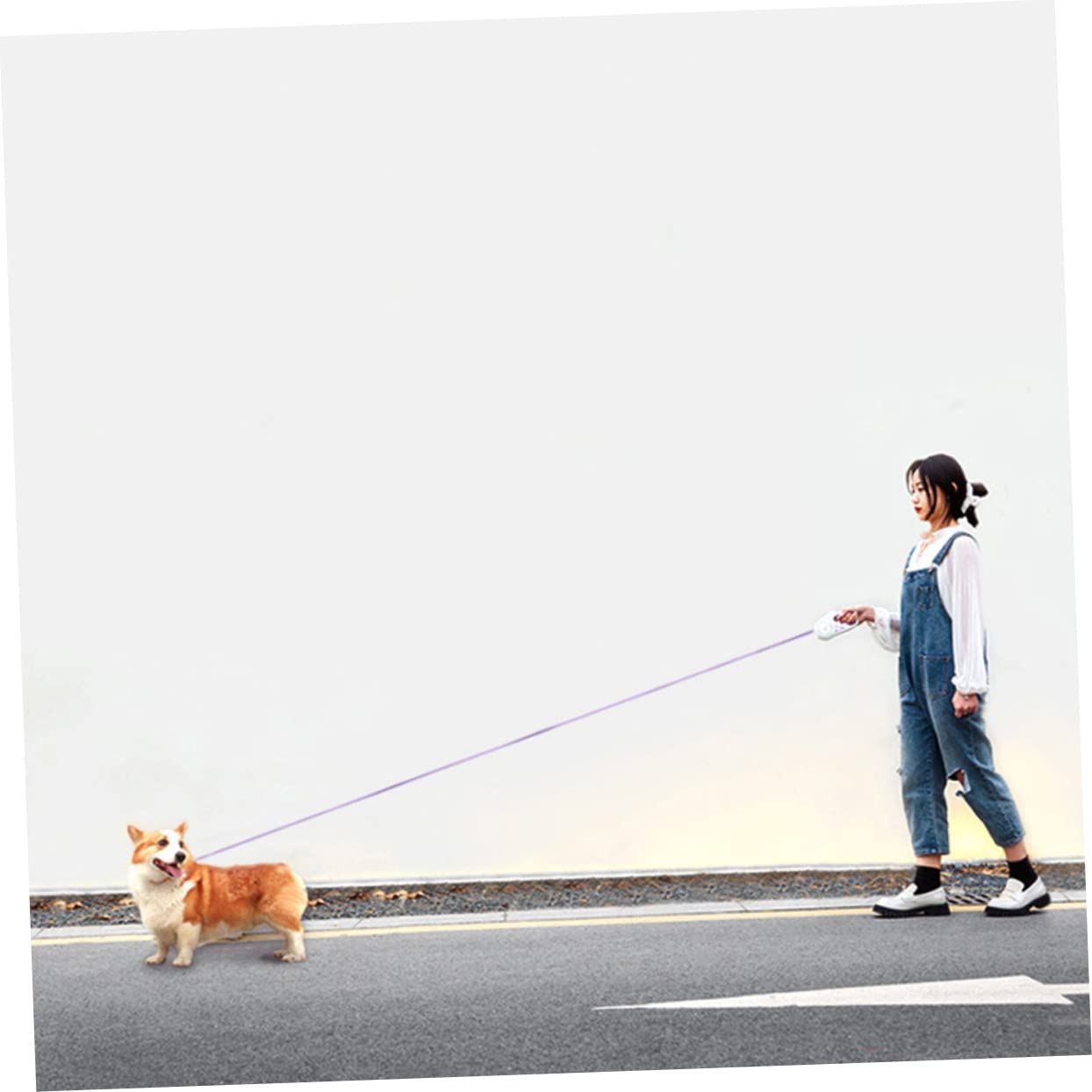 Hemobllo Correa para Perro Extensible Luz LED Automática, Material Abs y Nylon, Batería AAA Incluida, Adecuada para Pasear y Entrenar Mascotas de Forma Fiable y Cómoda