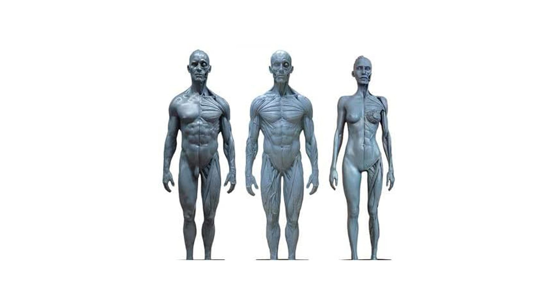 Jun's Anatomy　アナトミーフィギュア① Jun's Anatomy アナトミーフィギュア② - メルカリ