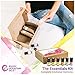 Rocky Mountain Oils The Essentials Kit - Includes Lavender, Lemon, Orange, Peppermint, Tea Tree, and Rosemary Essential Oil - Topical, and Cleaning - 5ml