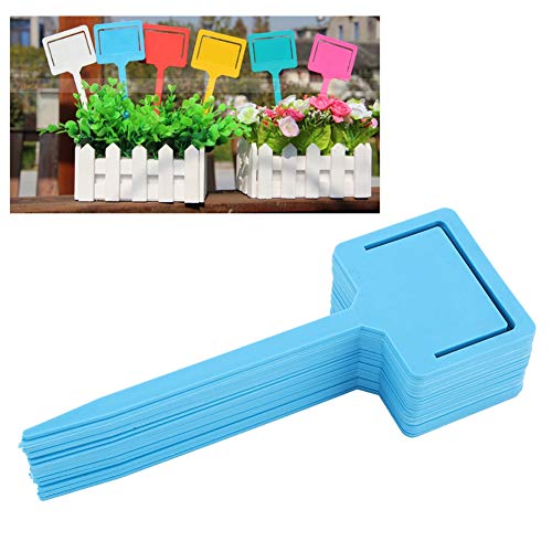 Rótulos de plantas, feitas de PVC Material e durável para noro / 1519