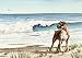 "Boxer At The Beach" Dog Art Print Signed by Artist DJ Rogers