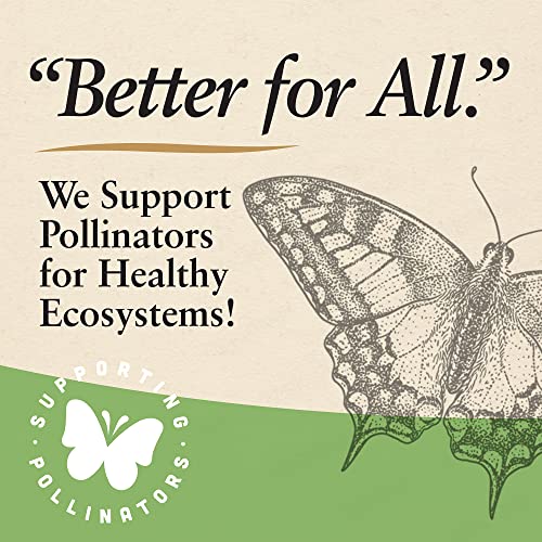 The 14 Best Black Jewell Microwave Popcorn of 2024 [Verified] Cherry