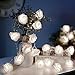 VIPMOON Rose Flower String Lights,2M 20LED Battery Operated Romantic String Lights Bright Warm Flower Rose Lamp Fairy Light for Valentine's Day Wedding Gardens Party Christmas Decoration - White
