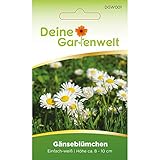 🌼 Qualitativ hochwertiges Saatgut von DeineGartenwelt. Produktion und Versand aus Deutschland.