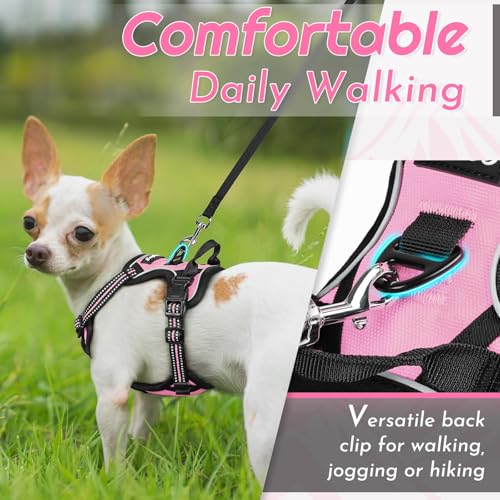 Image of Eagloo Dog Harness for Small Dogs, No Pull Pet Vest with 2 Leash Clips