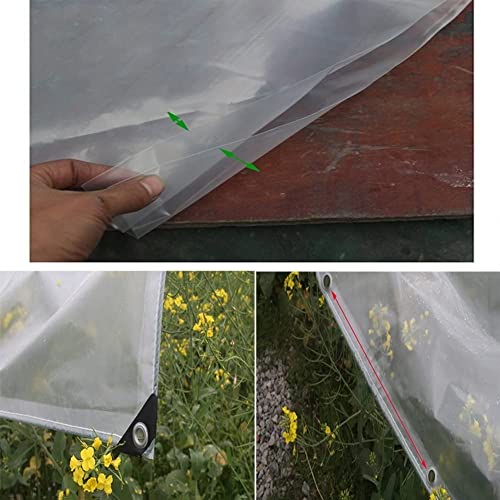 Lona transparente impermeable 2x3m RJJ 200G/m² para exterior 5