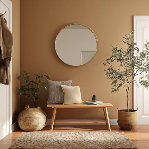 EVOLVE Paint & Primer: Environment-friendly, Low Sheen with One-coat Coverage for Interior & Exterior surfaces (Autumn Brown, 5-Gallon)