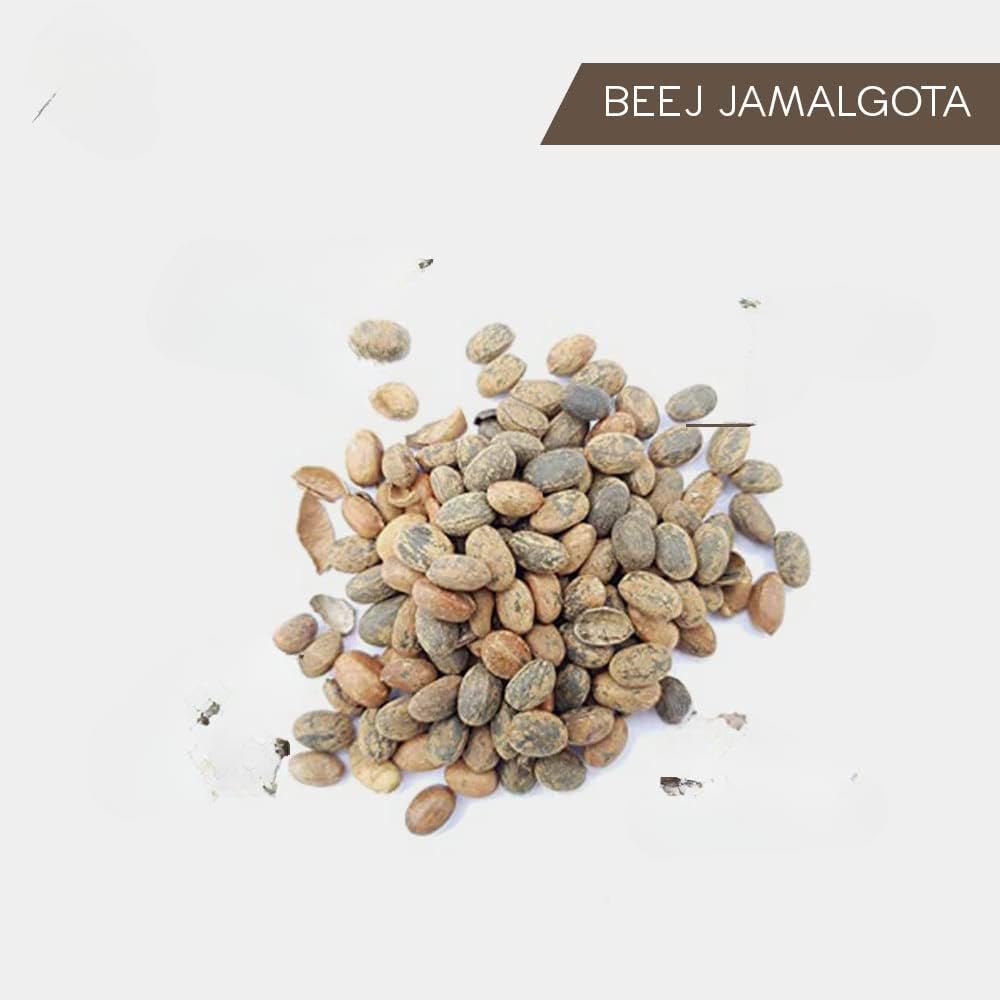 Jamalghota Powder | Jamalghota Beej Powder | Jamalgota Beej Powder | Jamalghota/Jamalgota | Jamalgota | Jamalgota | Polvo de jamalgota (100 GM)