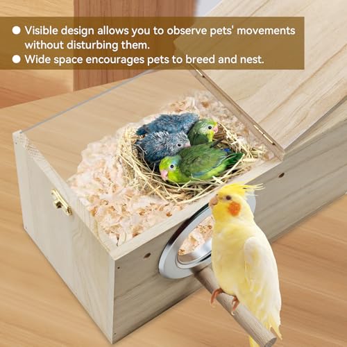 Image of Parakeet Cage Nest Box Visible and Detachable Bird Nest Breeding Box with Perch Natural Wood Bird Nesting for Cockatiel Lovebirds Budgie Finch Parrotlets Canary(XS 7.8 * 4.7 * 4.7inch)