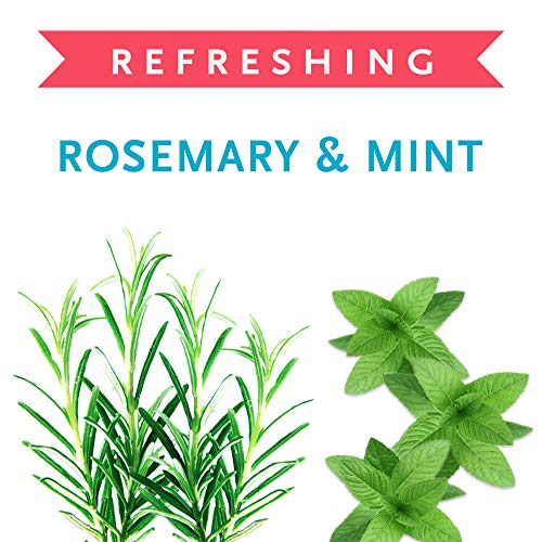 Buddy Wash Dog Shampoo & Conditioner For Dogs With Botanical Extracts And Aloe Vera, Rosemary & Mint, Gallon Jug #TOP4