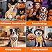 SZEE Hundehalstuch Halloween Kostüm Hunde Bandana for Dogs,Geschenk Deko mit Kürbis Motiv, Kopftücher Waschbarer Hundehalstücher für Kleine/Mittel/Große Hunde und Katzen Haustier, Orange+Schwarz, L