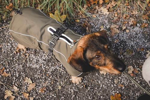 HUNTER Hundemantel NORDBY Dachshund, Farbe: Oliv, wasserdicht, warm gefüttert, reflektierend, ideal für kleine Hunde mit langem Körper, schützt vor Kälte & Nässe, maschinenwaschbar, Größe: 36