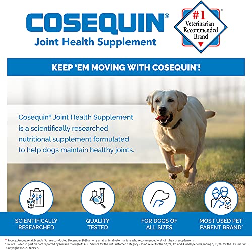 Cosequin DS Maximum Strength Plus MSM & Omega3's Chewable Tablets