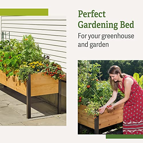 Gardener's Supply Company Elevated Cedar Raised Garden Bed | 2' x 8' Heavy Duty Standing Planter Box with Aluminum Corners for Outdoor Plants Vegetables Flowers | Perfect for Patio & Backyard