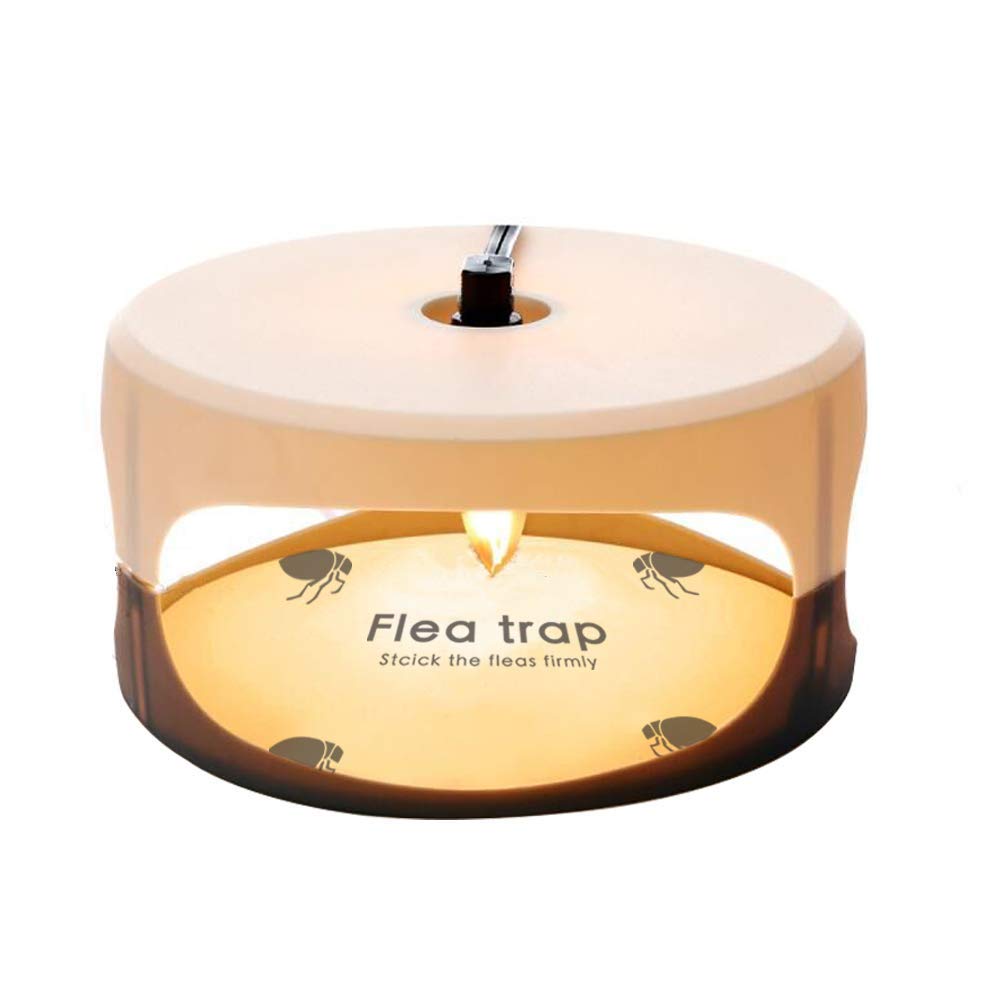 Lamp Trap Electric Flea Trap Flea Light Trap Against Flea Fly Killer Round Flea Glue Discs Flea Bombs for the Home Best Pest Control (UK standard))