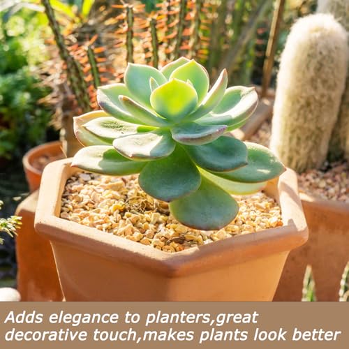 Image of Mulctun 45Lb 1 /5Inch Natural Pea Gravel for Landscaping,Decorative Aquarium Gravel,Terrarium Rocks for Fish Tank Stones for Vases Filling DIY Project Garden Indoor Outdoor