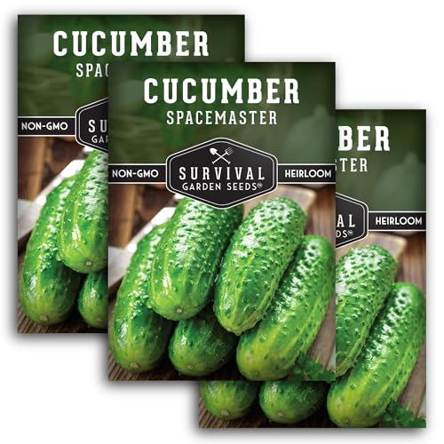 Spacemaster Cucumber Seeds for Planting | Compact Heirloom Non-GMO Variety for Small-Space Gardens – Survival Garden Seeds (3 Packs)