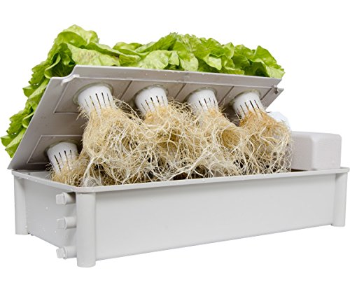 Hydrofarm GCSB Box Kit Hydroponic Salad Garden - Thumbnail 3