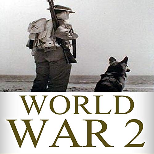 Cover art for World War 2: Soldier Stories: The Untold Stories of the Soldiers on the Battlefield of WW2