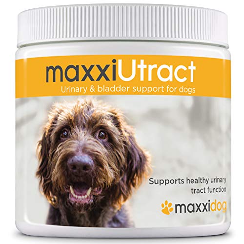 maxxidog  maxxiUtract Canneberge Complément Alimentaire Urinaire pour la Vessie des Chiens  Supplément Canin pour Le Contrôle de la Vessie et la Santé des Voies Urinaires (Poudre 150g)