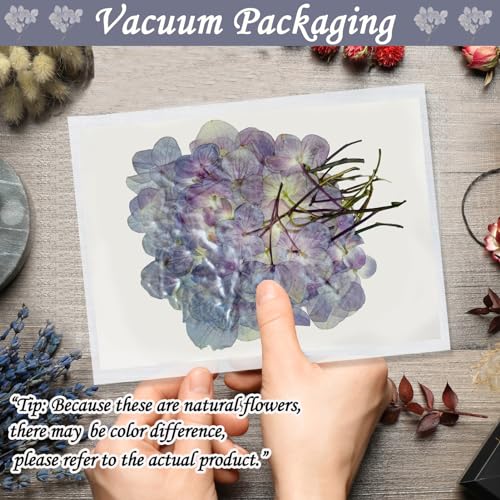 Flores secas de hortensia moradas con tallo 42PCS miniatura 3