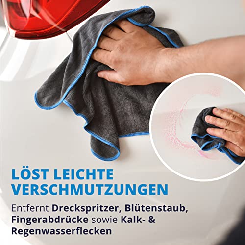 Lackreiniger Licargo Detailer 500ml für intensiven Glanz