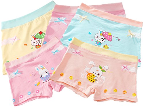 JELEUON 5Pcs Little Girls Toddler Kids Rabbit Strawberry Boyshort Hipster Underwear Panties 2-3 Years